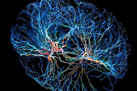Neuroplastyczność i terapia lustrzana